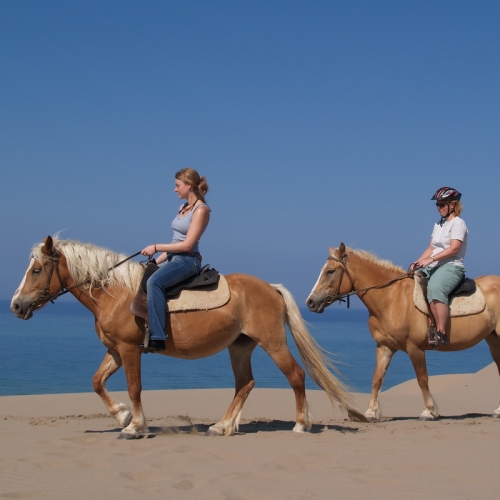 Horse Riding